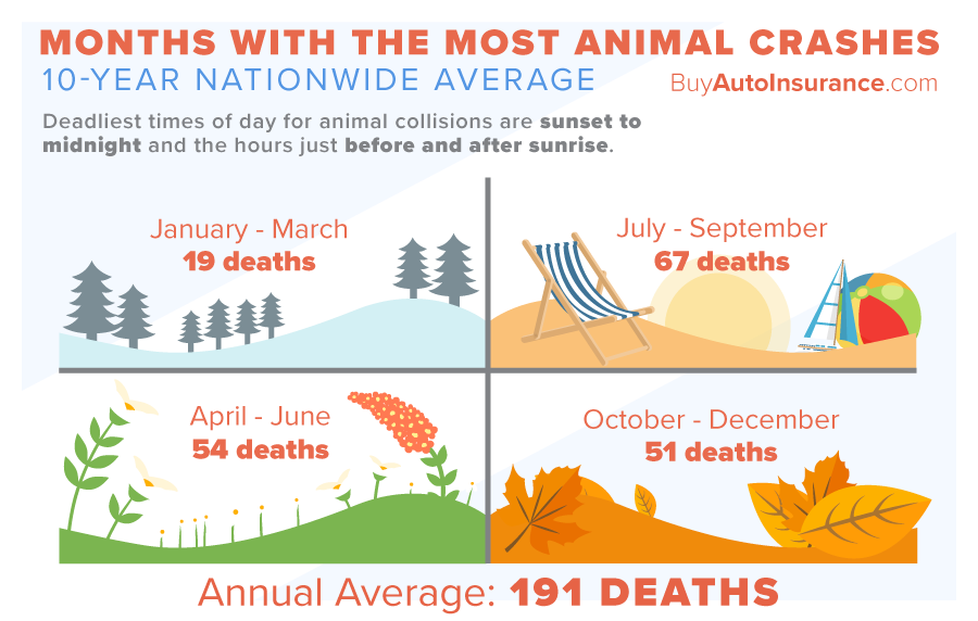 10 Worst States for Animal Collisions [2020 Study]