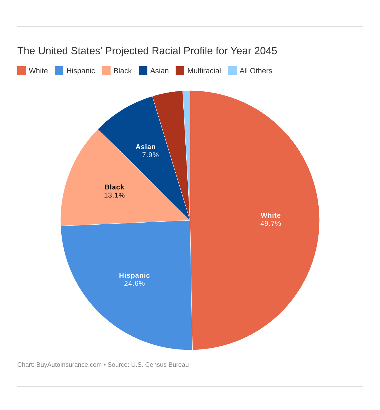 The United States' Projected Racial Profile for Year 2045